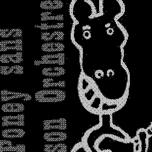 Poney sans son orchestre